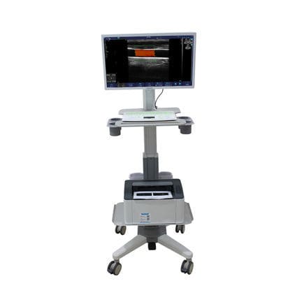 On-platform ultrasound system - C100T - Sonostar Technologies - for multipurpose ultrasound imaging / color doppler / 21-inch