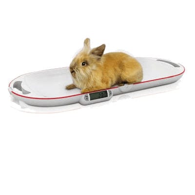 Electronic veterinary weighing scale - SP 8320 - Bosche GmbH & Co.KG - for small animals / pocket / compact