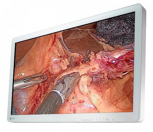 Surgical display - CuratOR® EX3220 - EIZO GmbH - medical / endoscopy / full HD