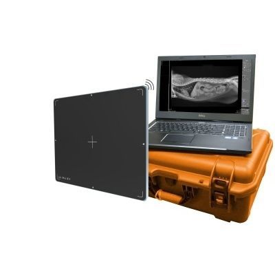 Veterinary radiography flat panel detector - DR Wizard 2.0 - Diagnostic Imaging Systems - portable / wireless / 14 x 17