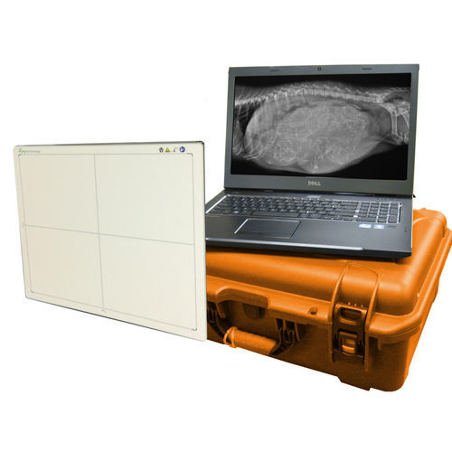 Veterinary radiography flat panel detector - DR Wizard - Diagnostic Imaging Systems - portable / wireless / 14 x 17