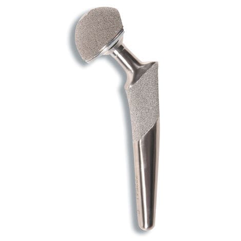 Total hip arthroplasty veterinary hip prosthesis - CFX®, BFX® - Biomedtrix - cemented / cementless / for canines