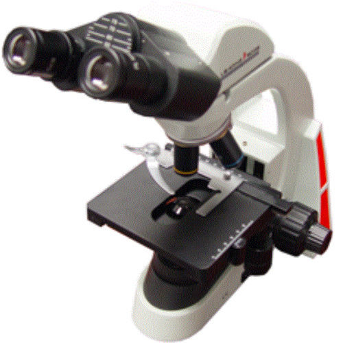 Optical microscope - Focus-V 1375 - Leading Edge - laboratory / biological / binocular