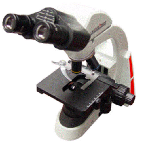 Optical microscope - Focus-V 1475 - Leading Edge - biological / veterinary laboratory / upright