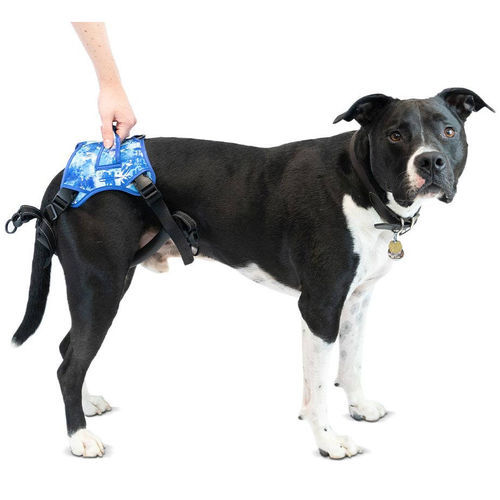 Rehabilitation sling - Buddy Up™ - Walkin' Pets - leg / for dogs