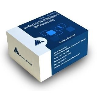 Solution reagent - AB MagPure - Aurora Instruments - porcine serum / RT-qPCR / for RNA extraction