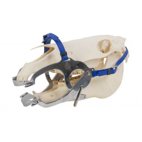 Dental veterinary speculum - Premium   - Equus Dental - for equines
