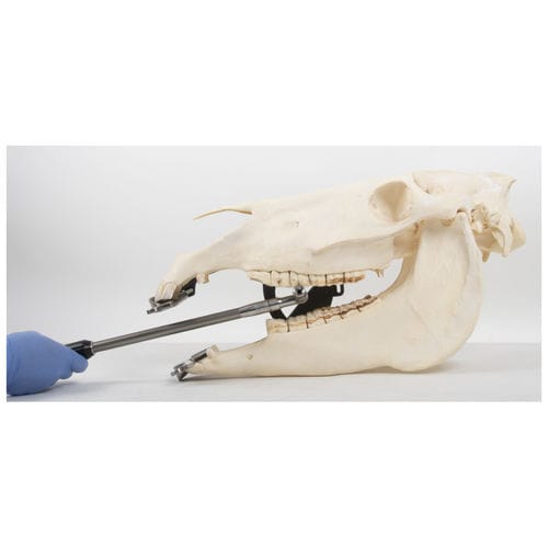 Equine handpiece - EFRA-EBS5050 - Equus Dental - straight / stainless steel / aluminium