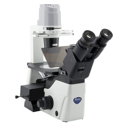Optical microscope - IM-300LD2 - Optika Italy - laboratory / trinocular / phase contrast