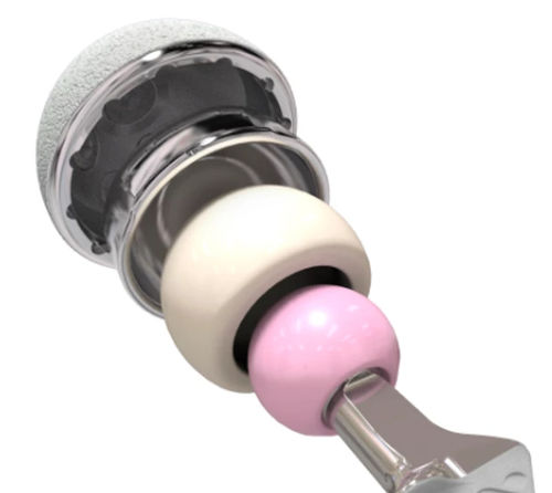 Cementless acetabular prosthesis - Trinity™ Dual - Corin