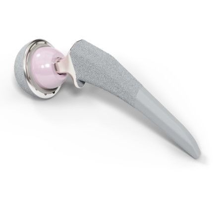 Primary hip prosthesis - ICONA - Corin - cementless