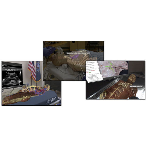 Training simulation module - VH Dissector - Touch of Life Technologies (ToLTech) - anatomy / surgical / augmented reality