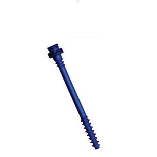 Thoraco-lumbar compression bone screw - Facet - Precision Spine - cannulated / titanium