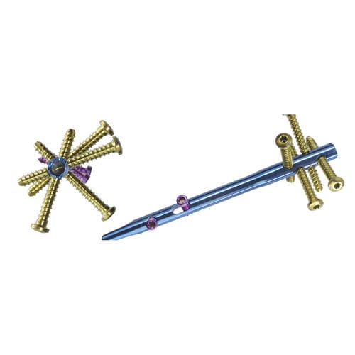 Humeral intramedullary nail - AEQUALIS™ IM - Wright Medical Technology - proximal fixation