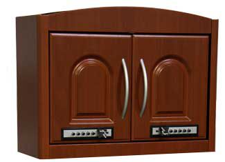 Security cabinet - 2015 - Cygnus - medication / with shelf / with door