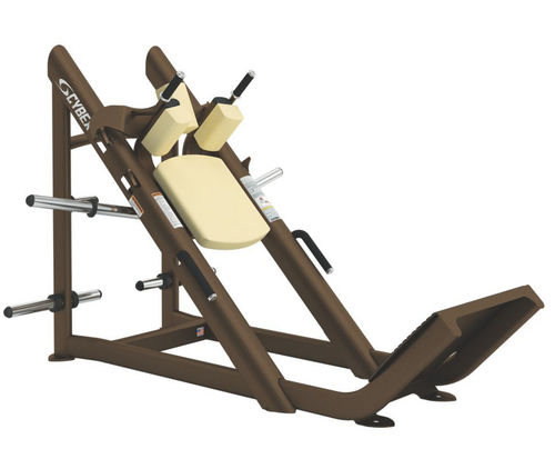 Gym cybex online