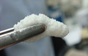 Composite dental material - OSTEON™ Collagen - Genoss - for dental restorations