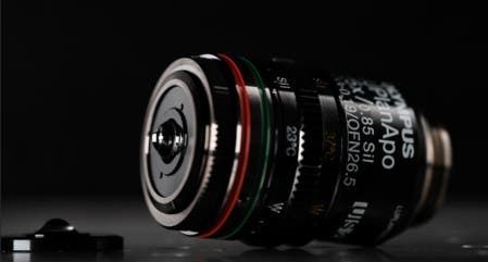 Microscope objective for life sciences applications - LUPLAPO25XS - Evident - Olympus Scientific Solutions - laboratory