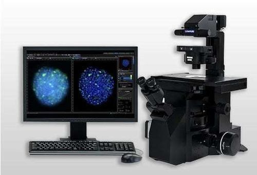 Reporting management and analysis system - cellSens - Evident - Olympus Scientific Solutions - AI-assisted / video / visualization