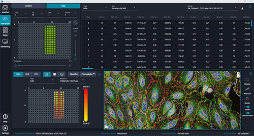Analysis software - IN Carta®  - Molecular Devices - image analysis / screening / machine learning