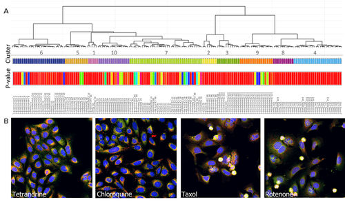Analysis software - StratoMineR™ - Molecular Devices - image analysis / management / visualization