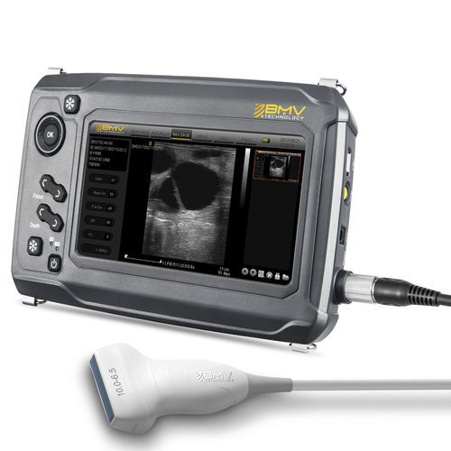 Hand-held veterinary ultrasound system - BestScan® S6 Linear-Array Vet - BMV - multipurpose / for small animals / for large animals