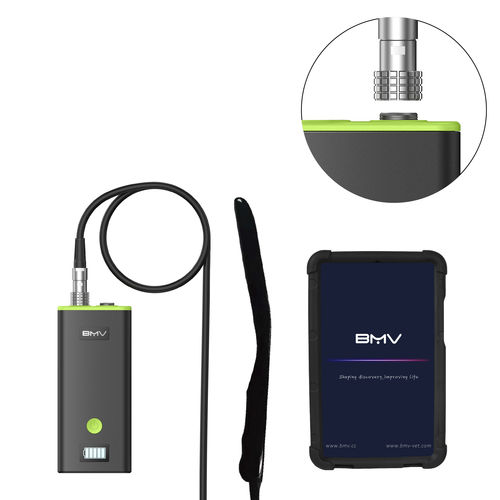 Hand-held veterinary ultrasound system - BestScan® S7 Plus Endocavitary Vet - BMV - multipurpose / for small animals / for large animals
