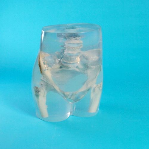 Radiography test phantom - QUART X-Ray QA Solutions - spine / pelvis / femur