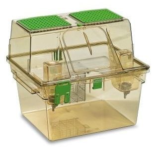 Ventilated animal research cage - GR1800 - Tecniplast - for rodents ...