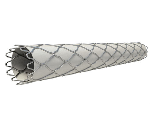 Coronary arteries stent graft - Direct-Stent®  - InSitu Technologies - stainless steel