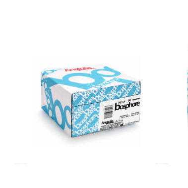 Infectious disease test kit - Bosphore® - Anatolia Tani ve Biyoteknoloji Urunleri Sanayi ve Ticaret A.S.  - Helicobacter pylori / biological / for real-time PCR