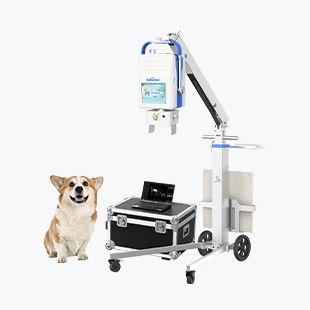 Digital veterinary X-ray system - Beatle-06P1(Vet-S) - Browiner - portable