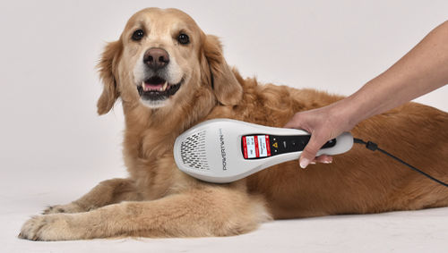 Veterinary biostimulation laser - PowerTwin XP5 - MKW Lasersystem - diode / hand-held