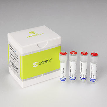 Cancer test kit - PNACIamp™ - Panagene Inc. - oncology / for JAK2 mutations / tissue