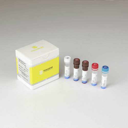 Cervical cancer test kit PANA RealTyper™ Panagene Inc. HPV / for
