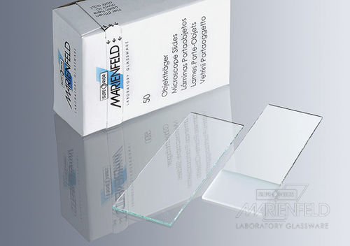 Microscope slide - 100 series - Paul Marienfeld