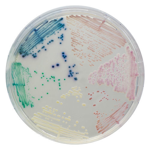 Medium reagent - CA223-25 - CHROMagar - antifungal / for bacterial isolation / for urine samples