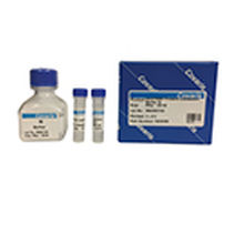 Buffer solution reagent - truXTRAC 520099, truXTRAC 520103 - Covaris Inc - for protein extraction