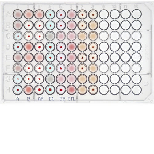 Antibody reagent Groupa 2 Lys Diagast for blood typing / blood
