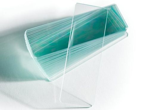 Frosted glass microscope slide - Beveled Edge - Leica Biosystems - double / plain
