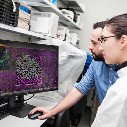Research software - HALO® - Leica Biosystems - for healthcare facilities / for the pharmaceutical industry / for histology laboratories