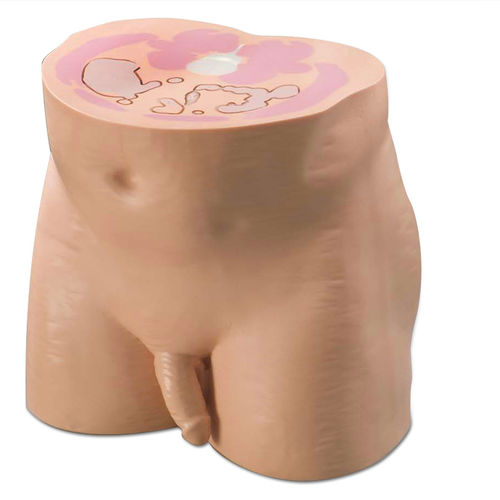 CT scan test phantom - 801-P - CIRS - bladder / pelvis