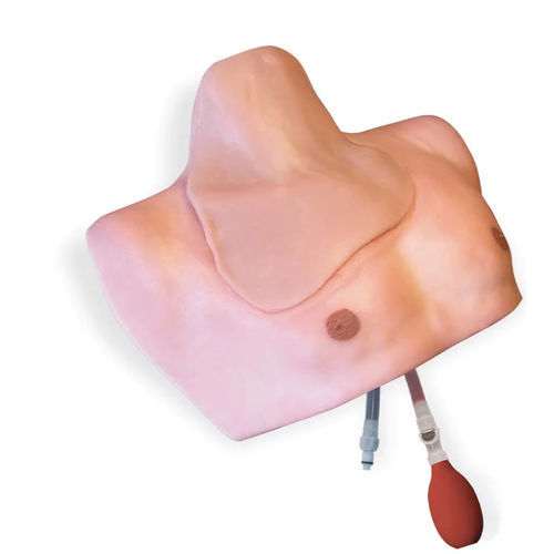 Vascular access patient simulator - CentraLineMan® - Simulab Corporation - catheterization / central venous catheterization / for intensive care