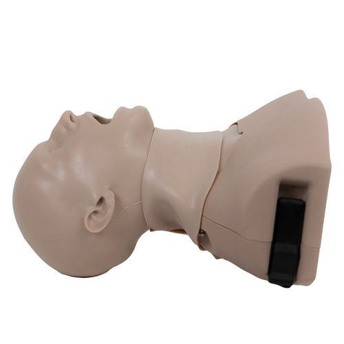 Training simulator - AM-1001-L - Simulab Corporation - auscultation / airway management / intubation