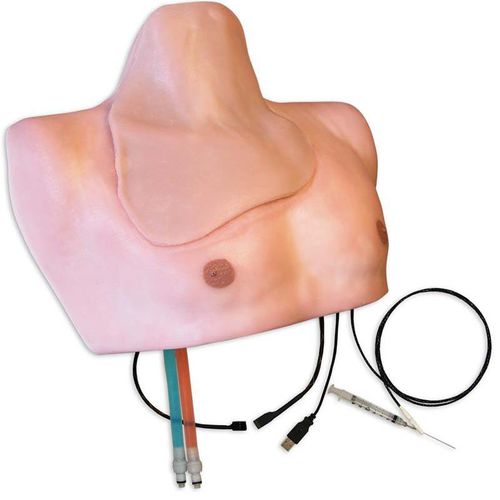 Anesthesia patient simulator - ISBS-30 - Simulab Corporation - nursing care / anatomy / torso
