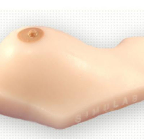 Breast model - BPM-30 - Simulab Corporation - training / biopsy / for ultrasound imaging