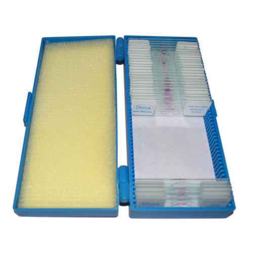 Microscope slide - C series - DESH BIOLOGICAL WORKS