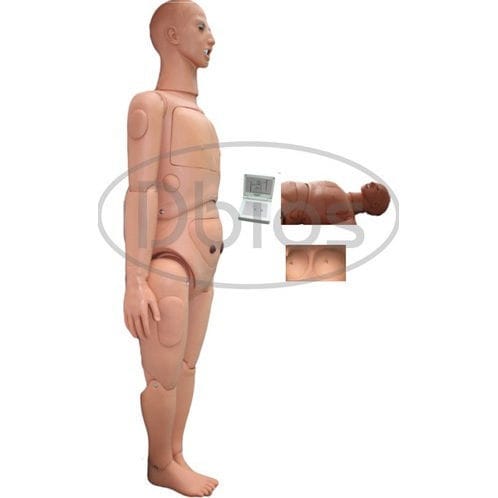 Nursing care training manikin - DESH BIOLOGICAL WORKS - intubation / tracheotomy / CPR