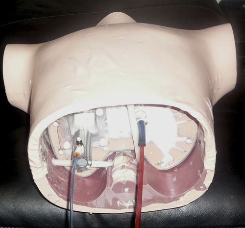 Radiation therapy test phantom - RS-1500 - Radiology Support Devices - torso