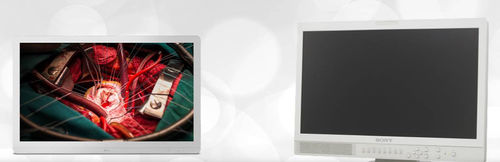 Medical monitor - Etkin Medical Devices - operating room / surgical / full HD